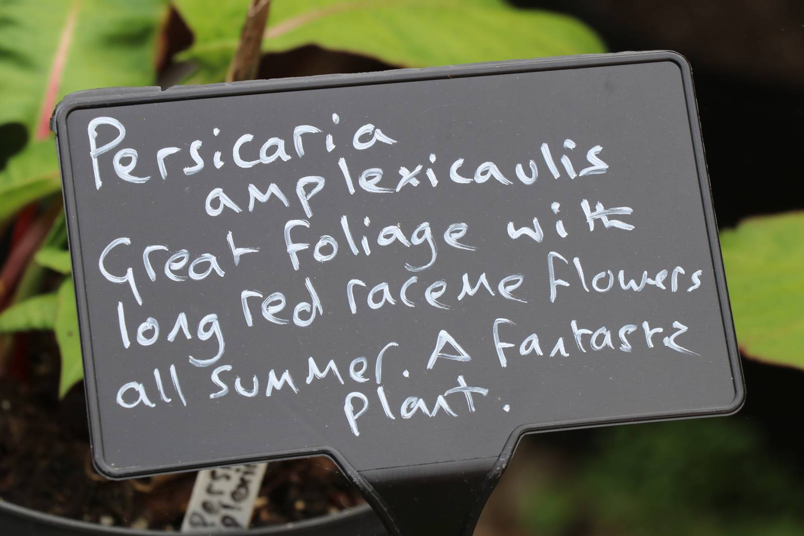 Dyffryn Fernant Wales (36)