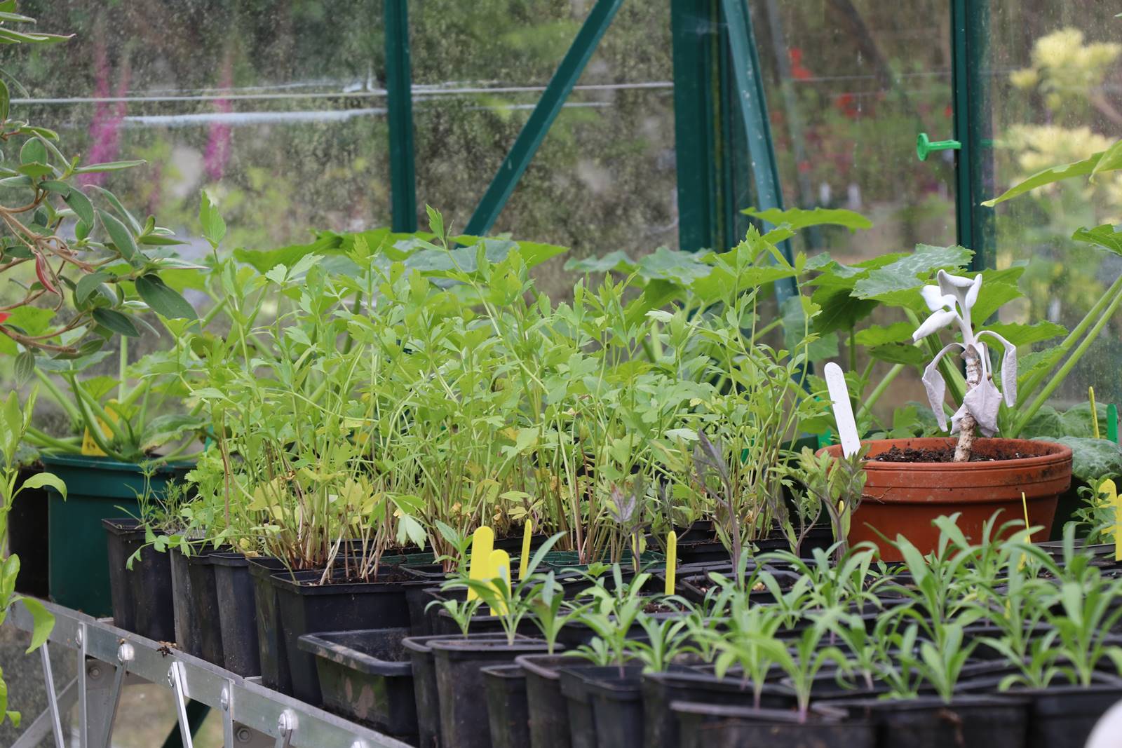 Dyffryn Fernant Wales (43)