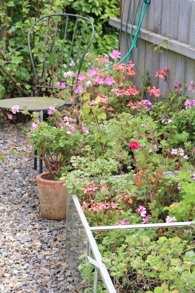 Dyffryn Fernant Wales (44)