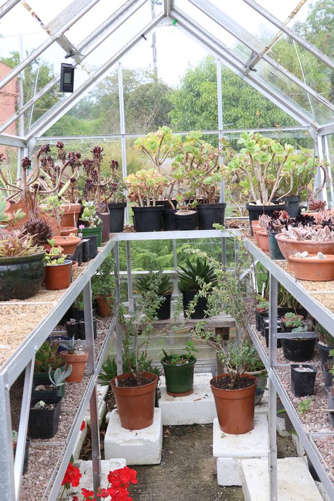 Dyffryn Fernant Wales (46)