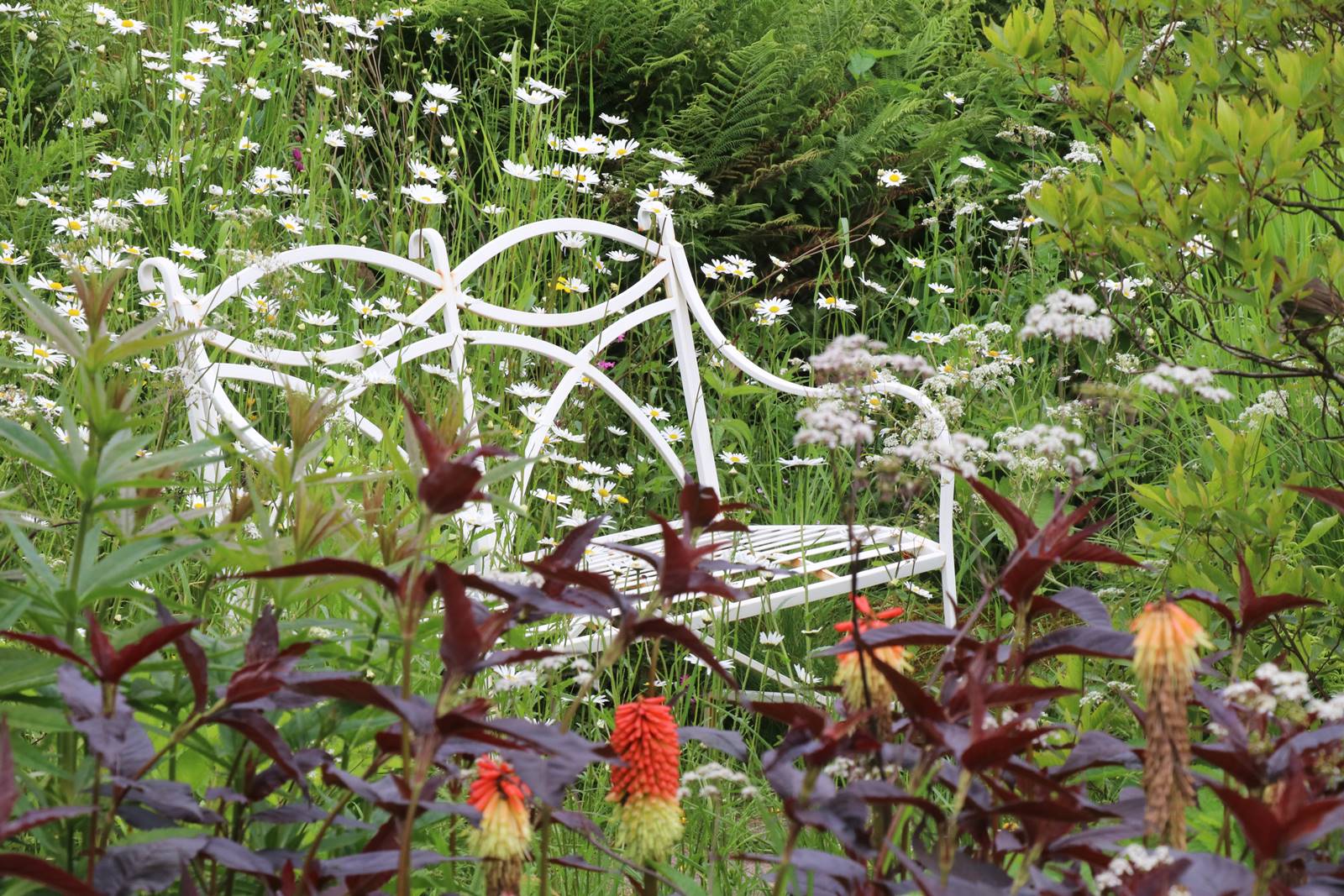 Dyffryn Fernant Wales (7)