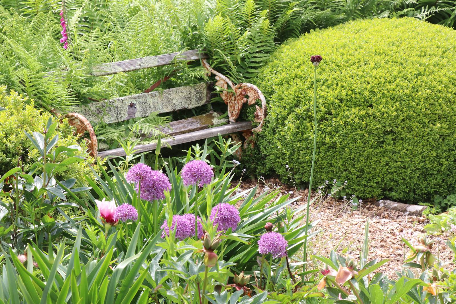 Dyffryn Fernant Wales (9)