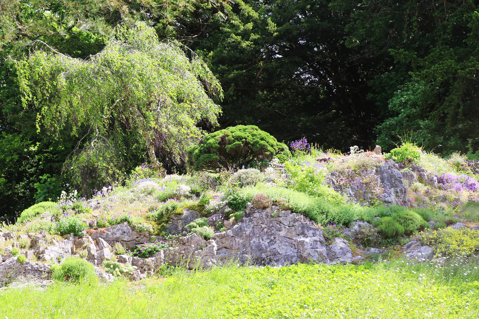 Dyffryn Gardens Wales (1) Dyffryn Gardens Wales (1)