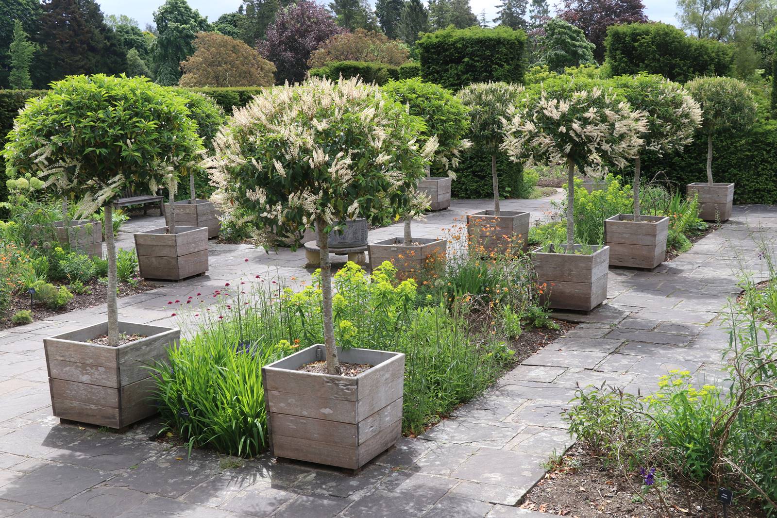 Dyffryn Gardens Wales (15) Dyffryn Gardens Wales (15)