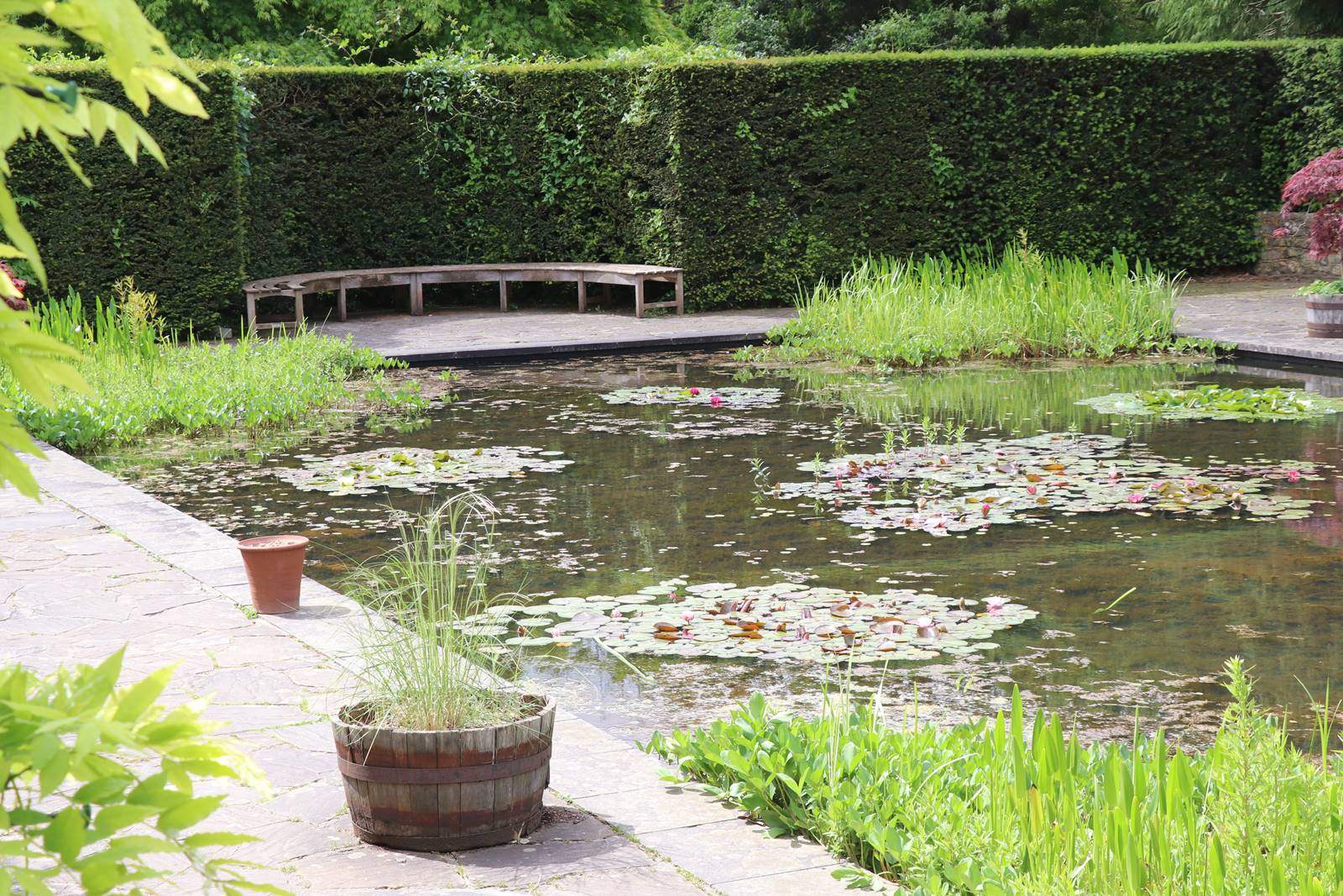 Dyffryn Gardens Wales (16) Dyffryn Gardens Wales (16)