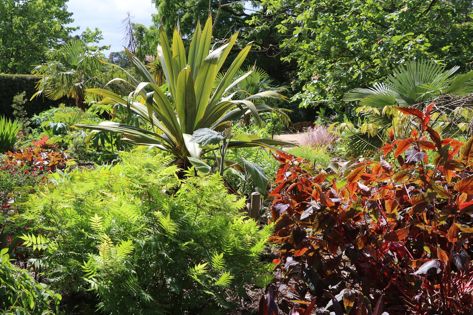 Dyffryn Gardens Wales (18) Dyffryn Gardens Wales (18)