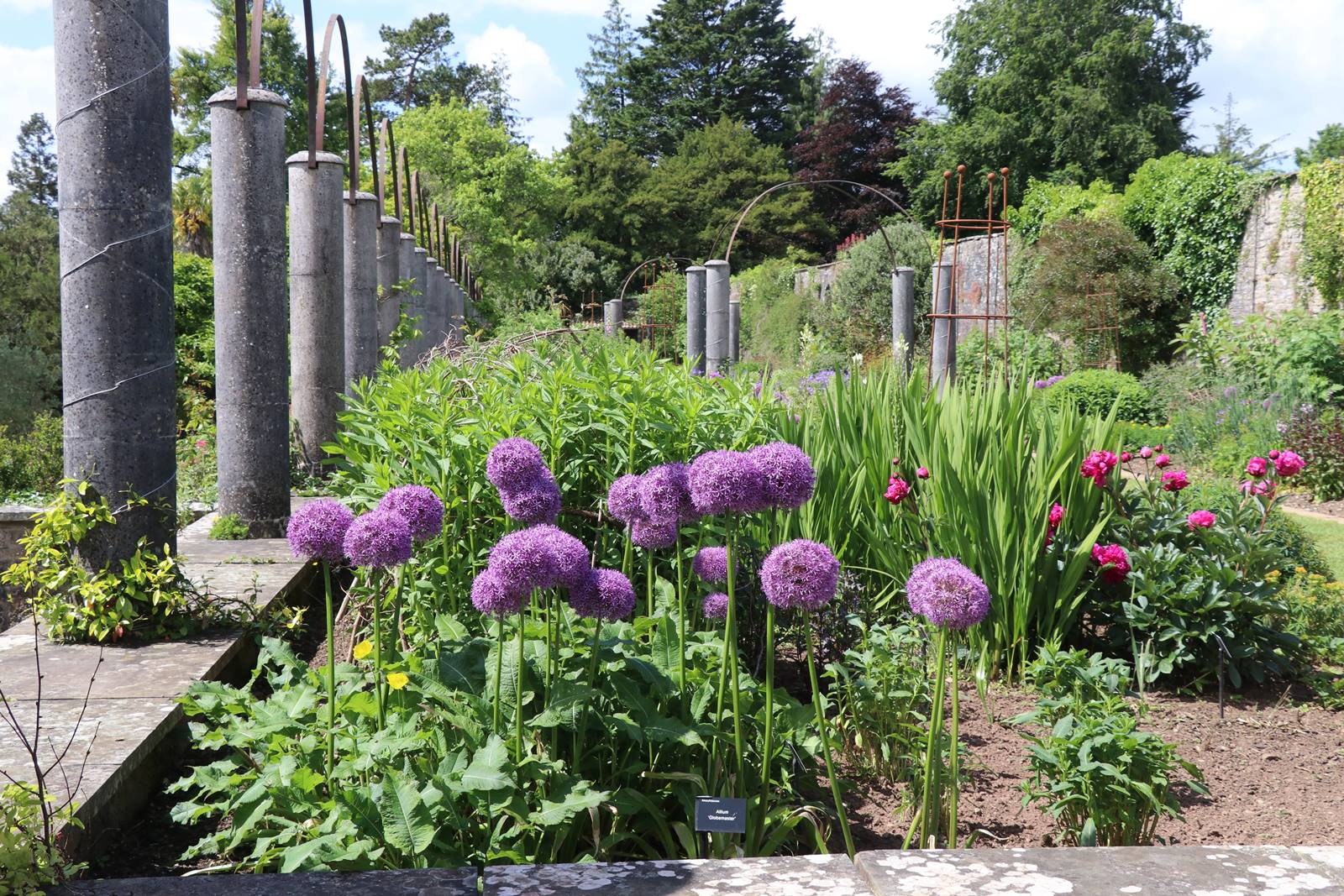 Dyffryn Gardens Wales (21) Dyffryn Gardens Wales (21)