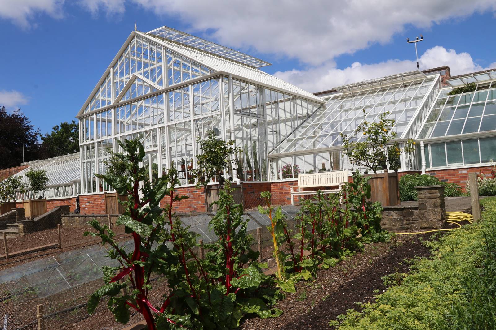 Dyffryn Gardens Wales (24) Dyffryn Gardens Wales (24)