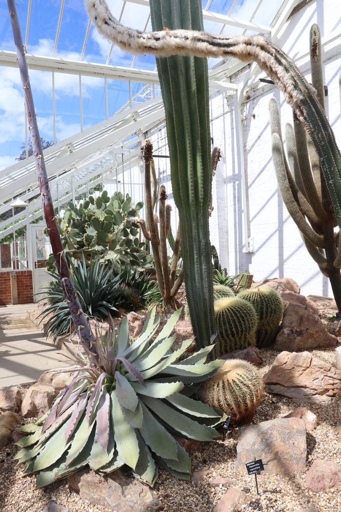 Dyffryn Gardens Wales (25) Dyffryn Gardens Wales (25)