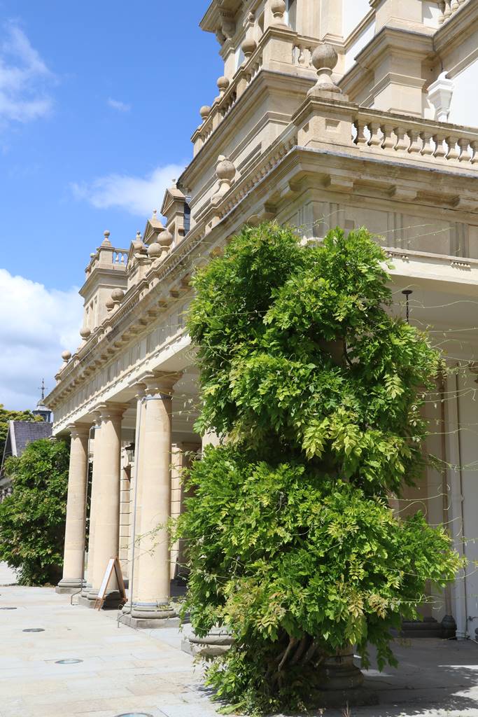 Dyffryn Gardens Wales (29) Dyffryn Gardens Wales (29)