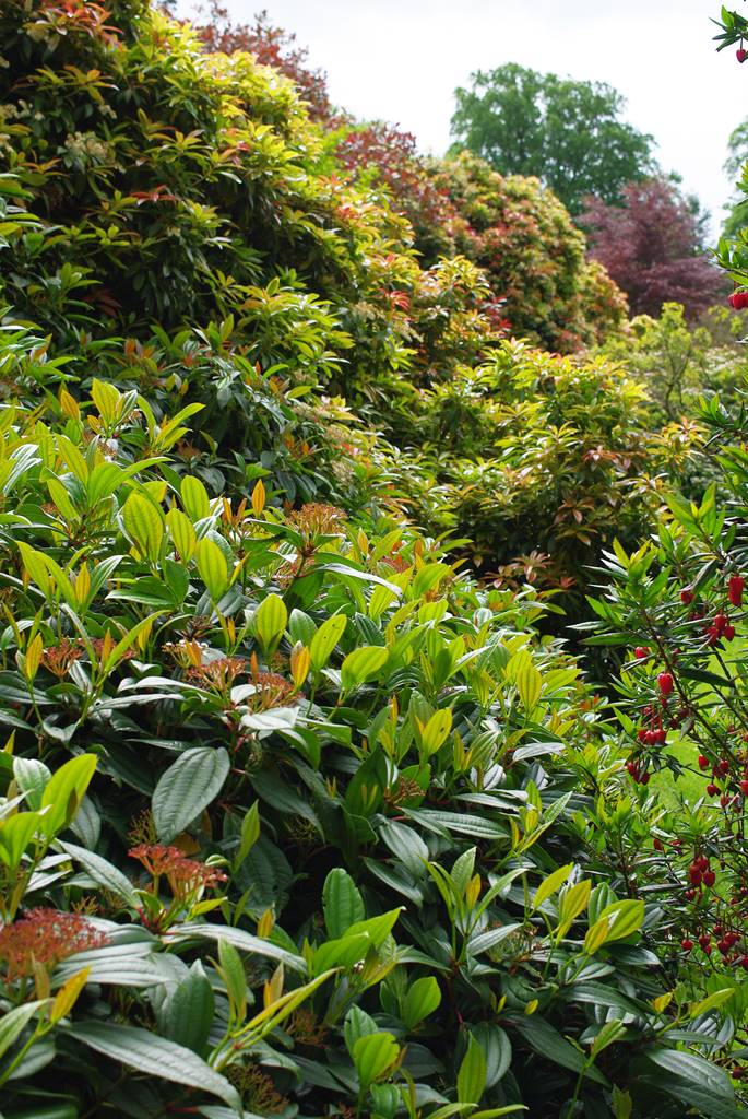 Penrhyn Castle Wales (33)