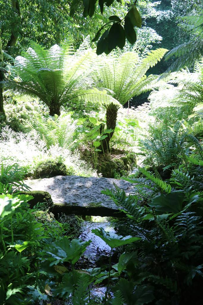 Plas Cadnant Hidden Gardens (15) Plas Cadnant Hidden Gardens (15)