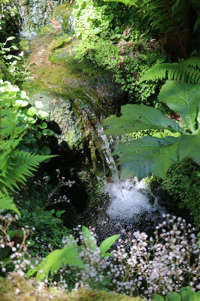 Plas Cadnant Hidden Gardens (19) Plas Cadnant Hidden Gardens (19)