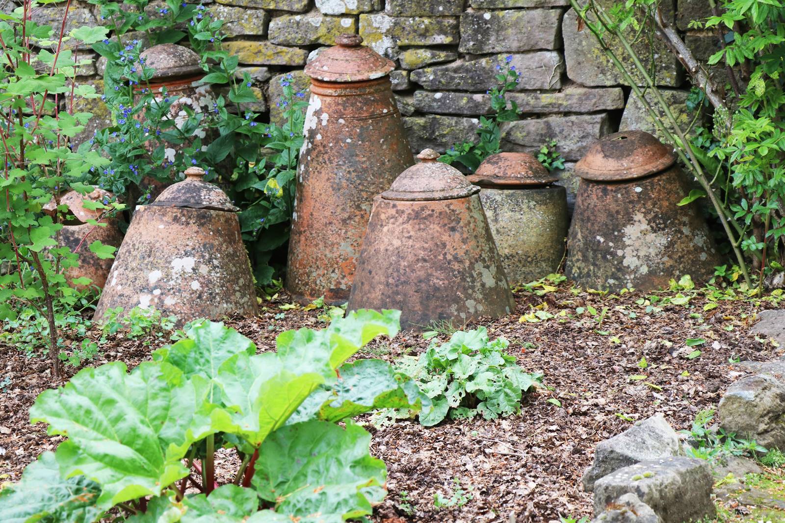 Wyndcliffe Court Garden Wales (15)