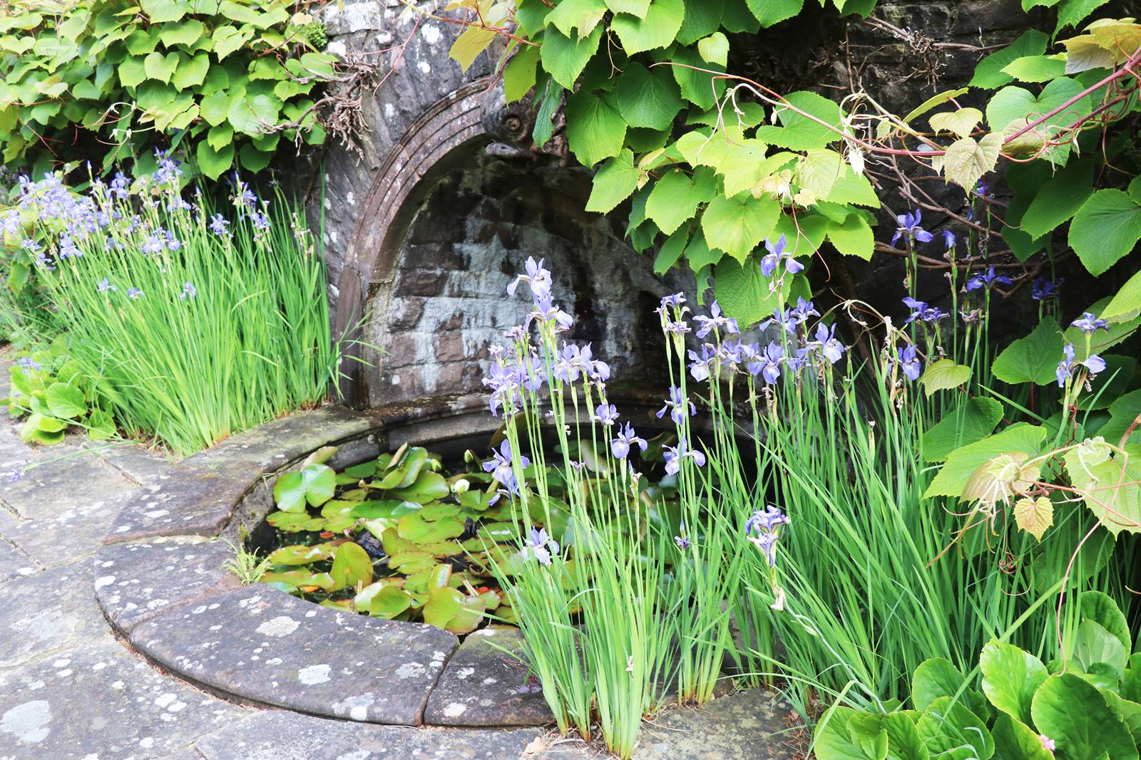 Wyndcliffe Court Garden Wales (2)