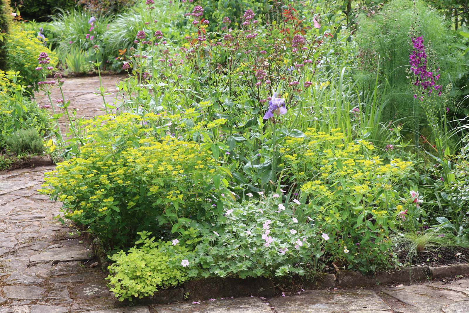 Wyndcliffe Court Garden Wales (33)