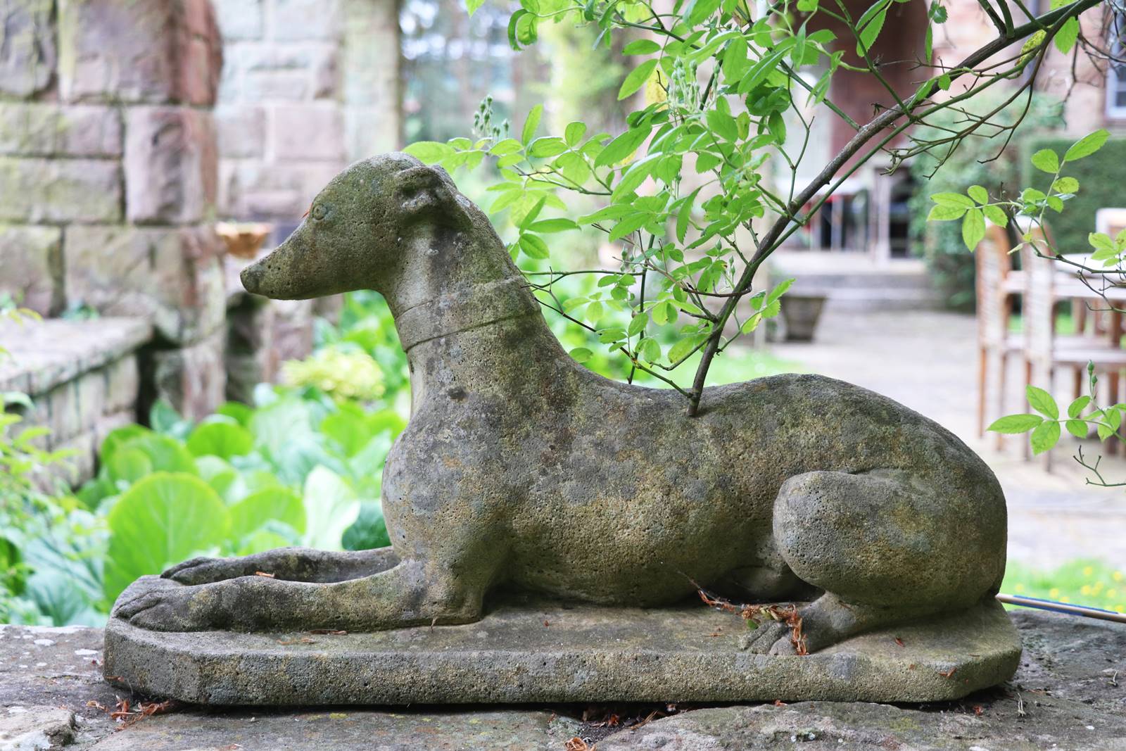 Wyndcliffe Court Garden Wales (37)