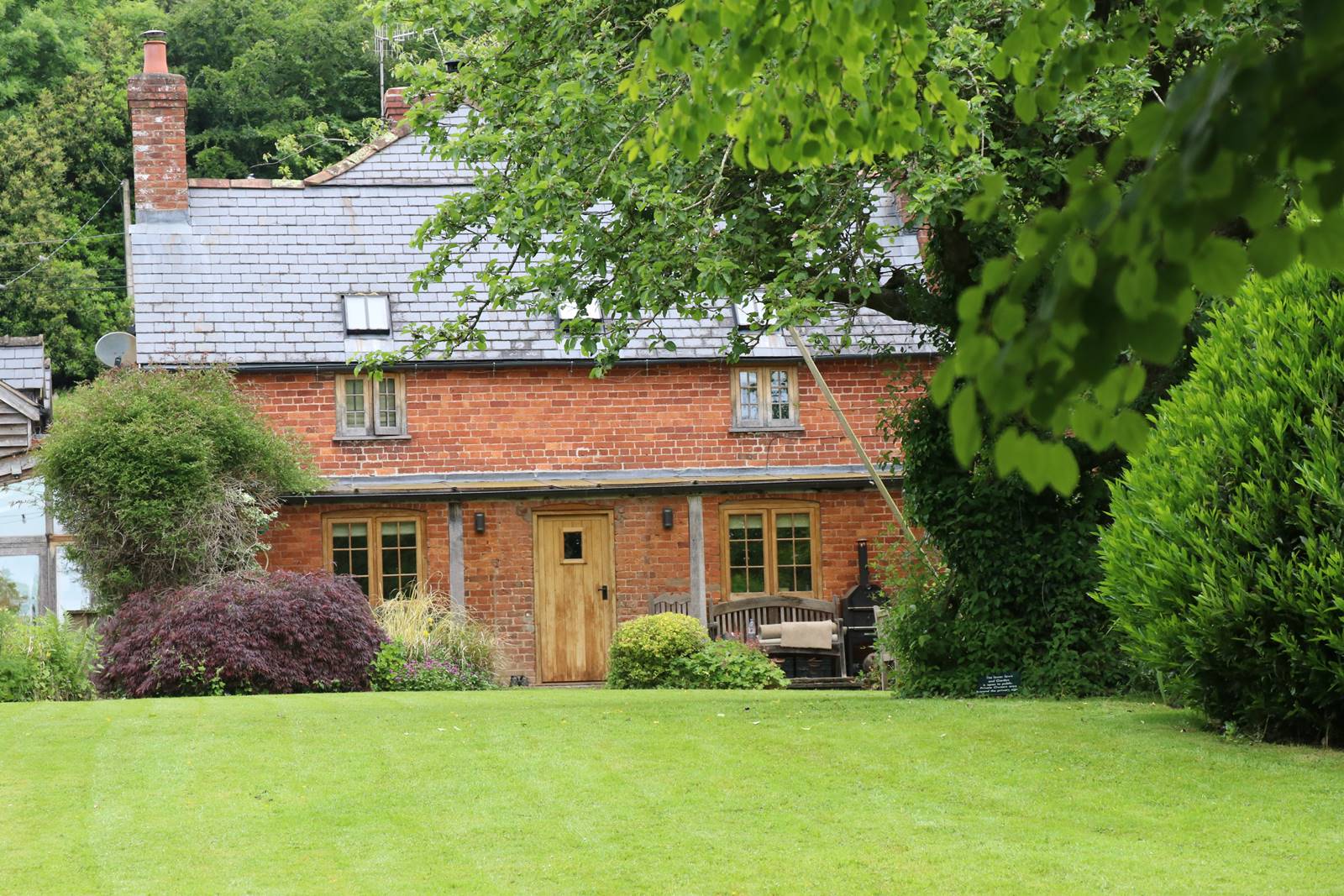 Dingle nurseries and garden (1)