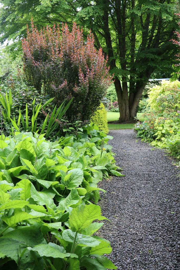 Dingle nurseries and garden (11)