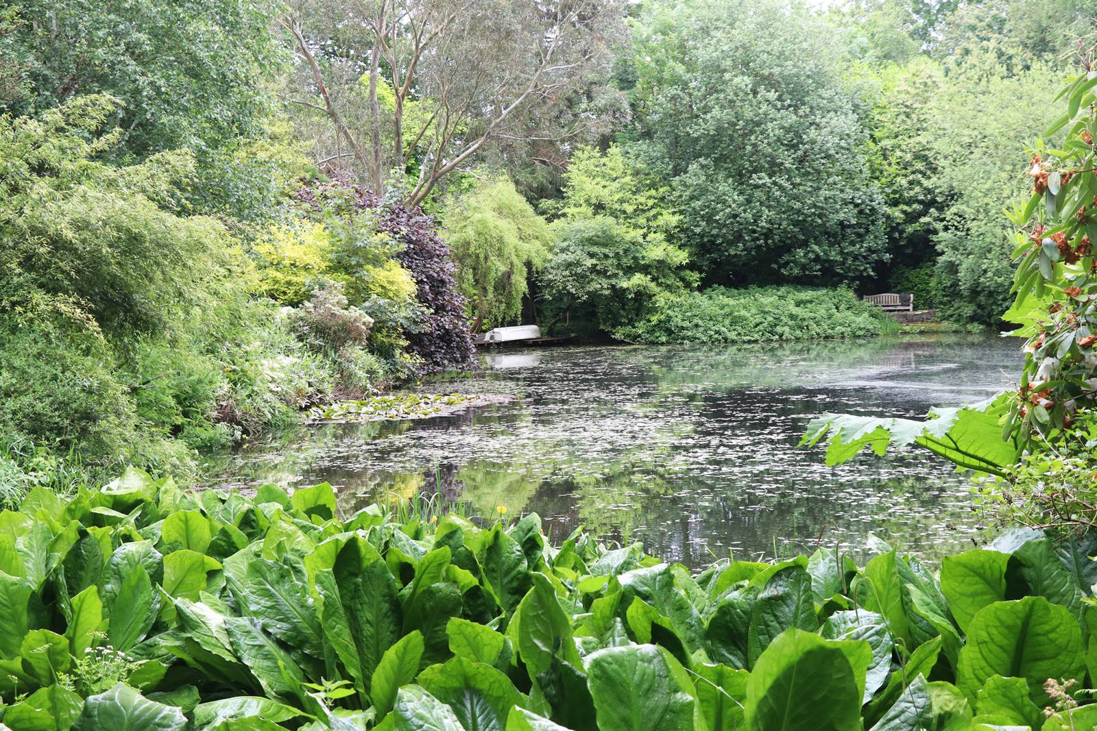 Dingle nurseries and garden (3)