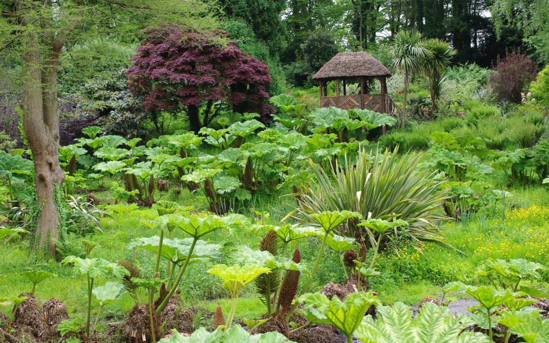 Guide des jardins du Pays de Galles