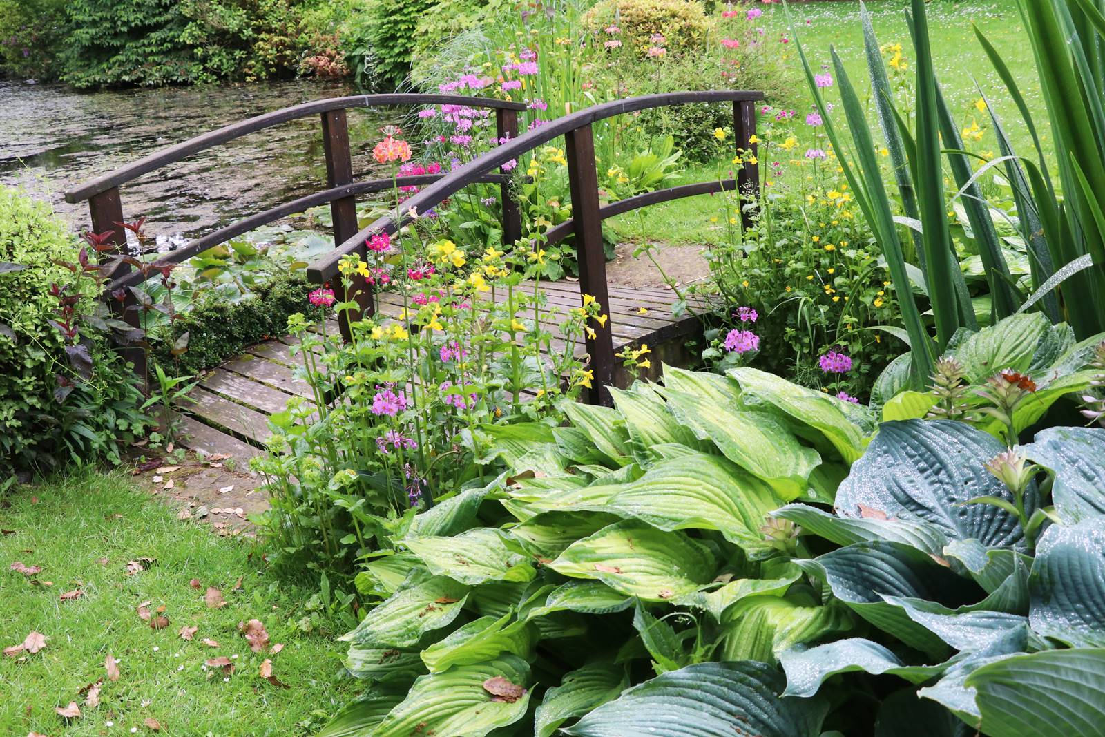 The gardens of Bodrhyddan (14) The gardens of Bodrhyddan (14)