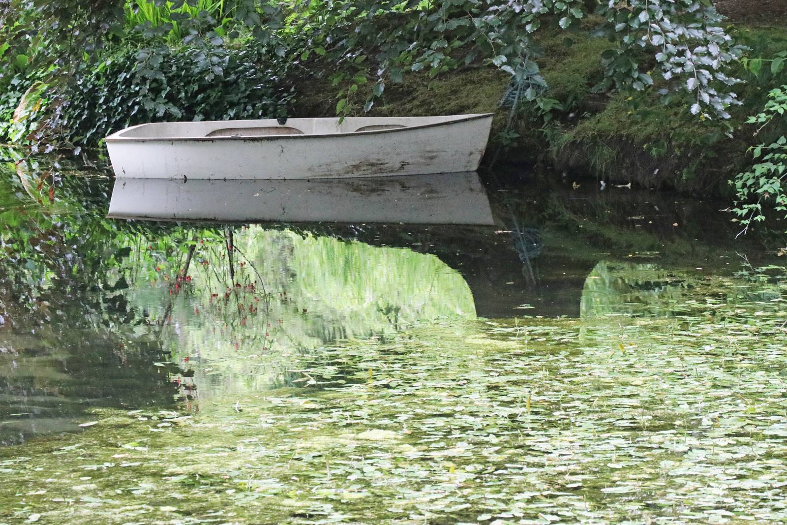 The gardens of Bodrhyddan (18) The gardens of Bodrhyddan (18)