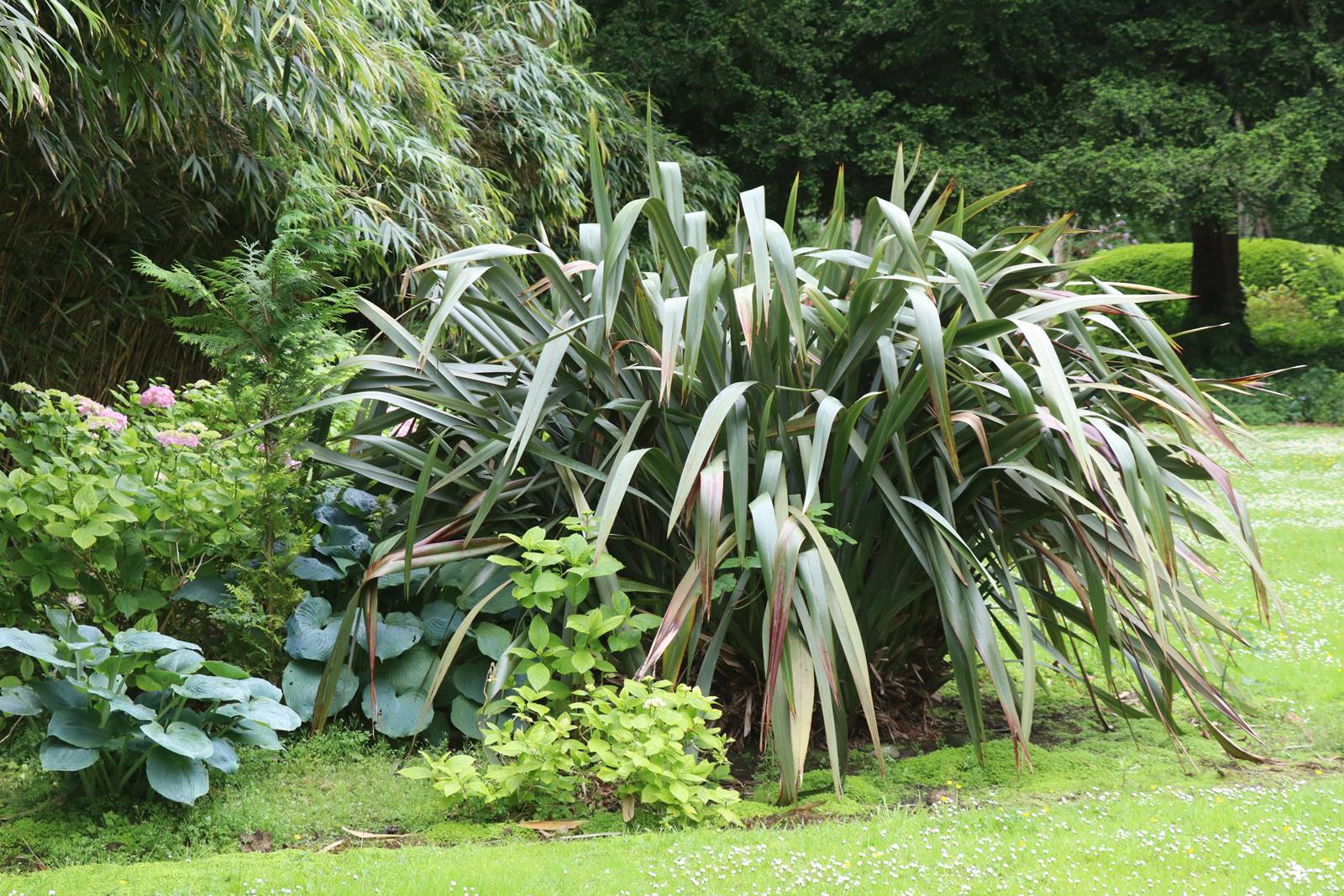 The gardens of Bodrhyddan (20) The gardens of Bodrhyddan (20)