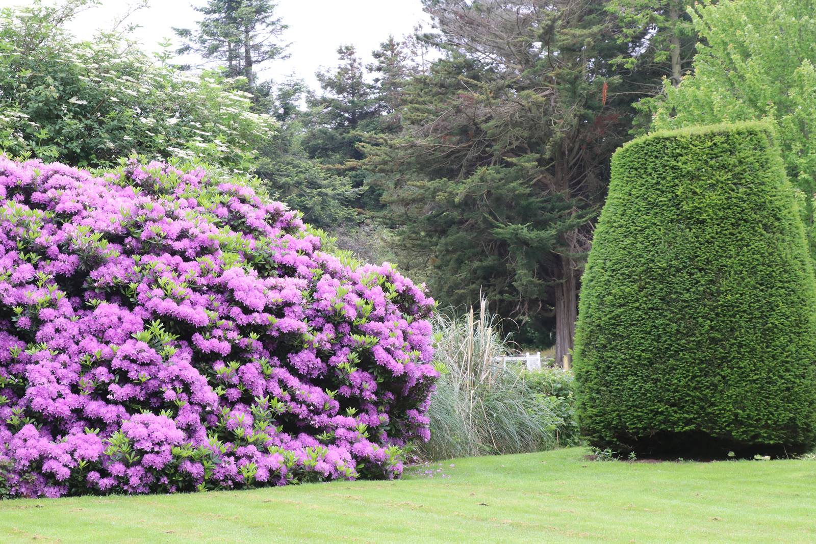 The gardens of Bodrhyddan (33) The gardens of Bodrhyddan (33)