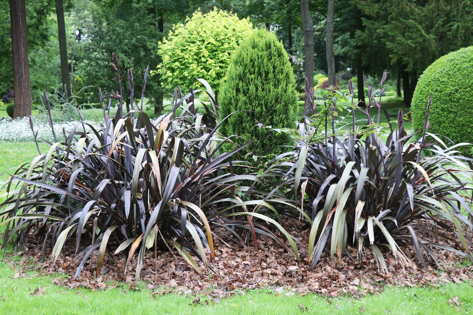 The gardens of Bodrhyddan (4) The gardens of Bodrhyddan (4)