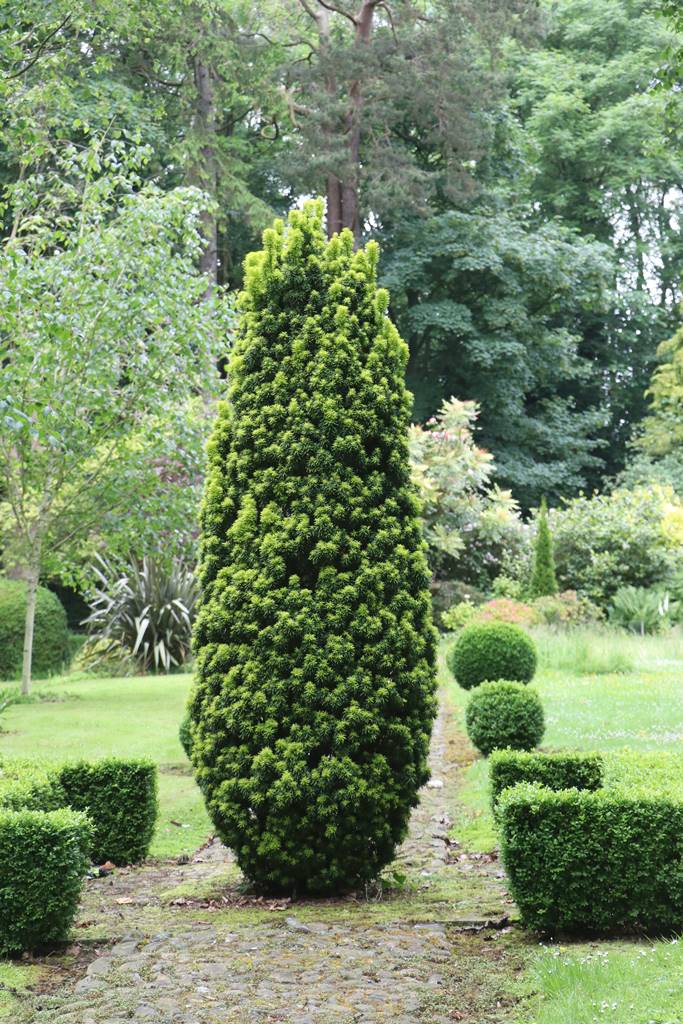 The gardens of Bodrhyddan (8) The gardens of Bodrhyddan (8)