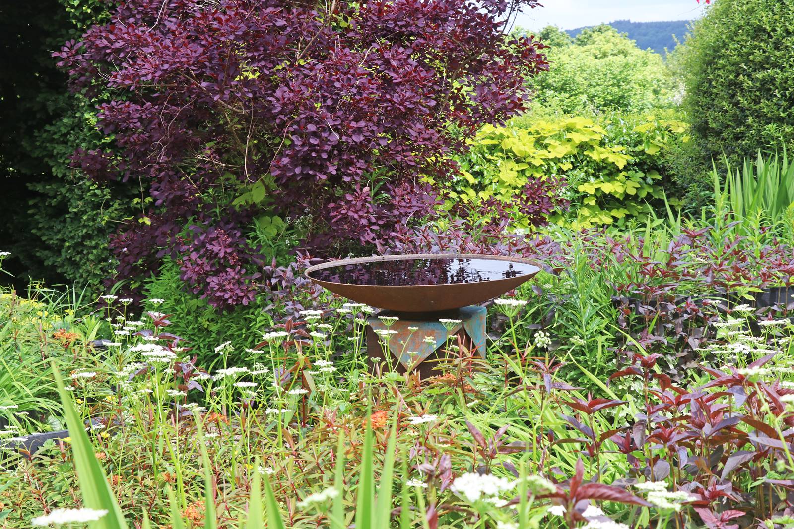 Veddw House Garden (18) Veddw House Garden (18)