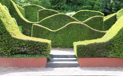 Veddw Garden, Pays de Galles