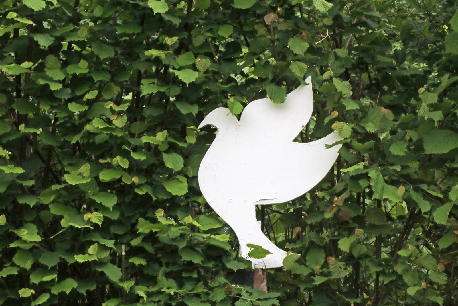 Veddw House Garden (23) Veddw House Garden (23)