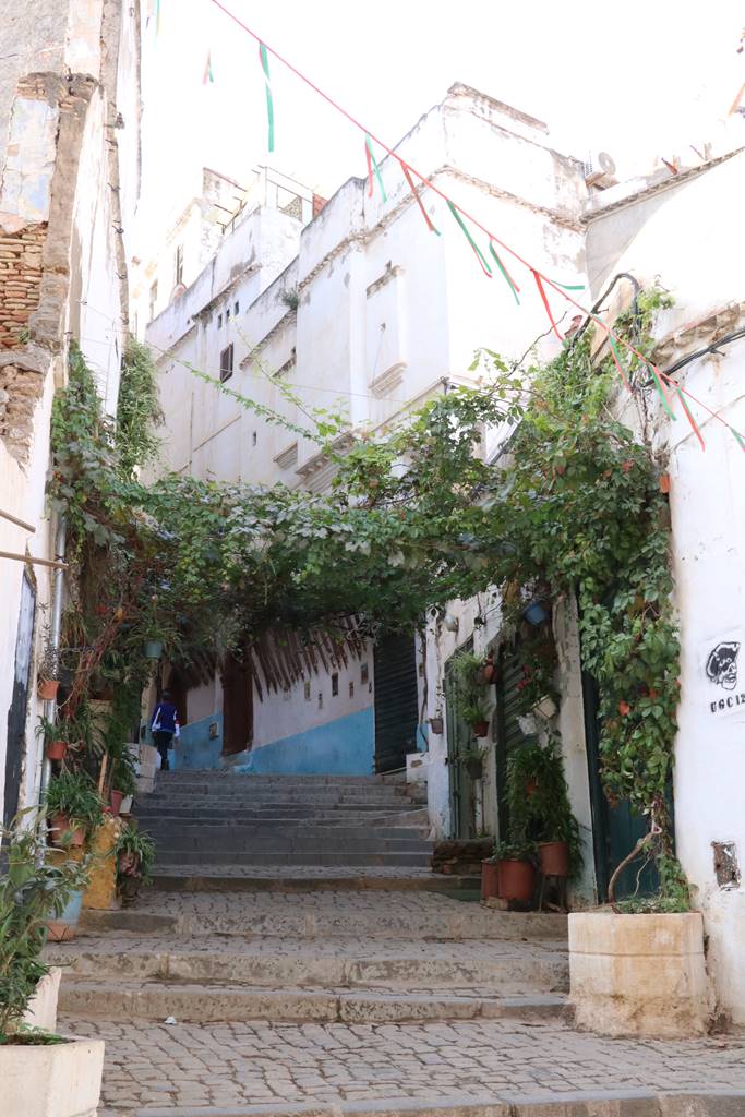 Alger tourisme (32) Alger tourisme (32)