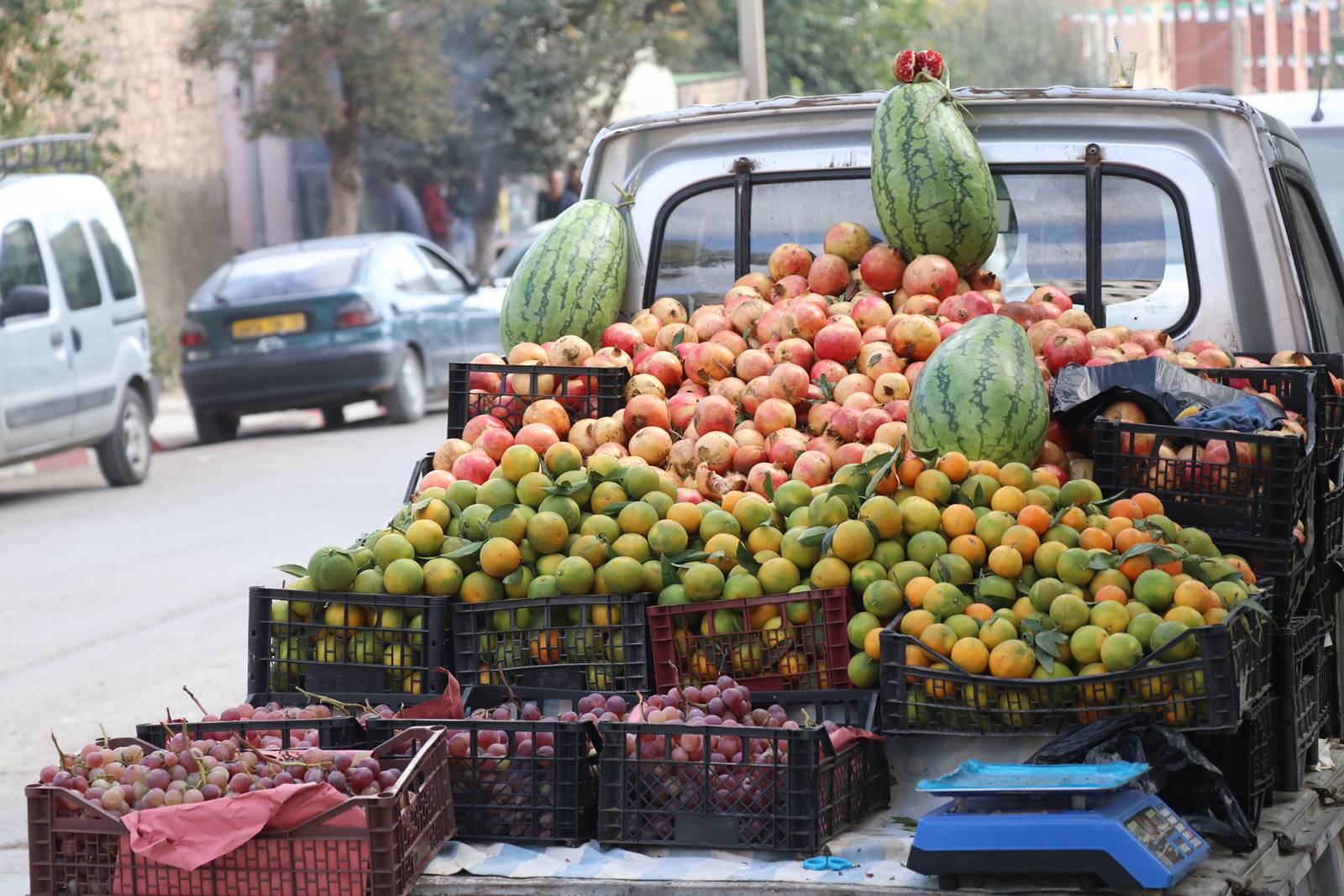 Algérie guide pratique (12) Algérie guide pratique (12)