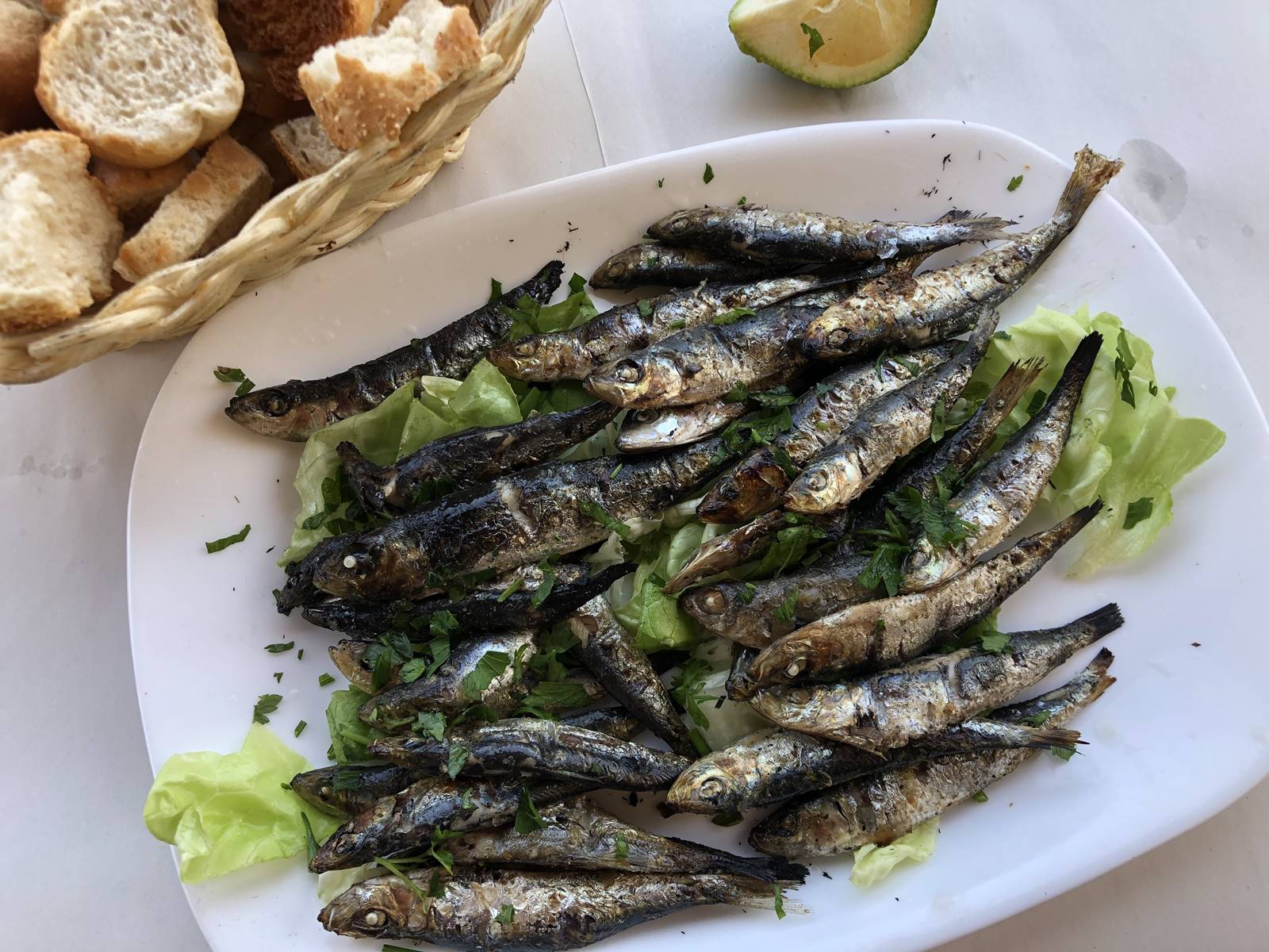 Algérie guide pratique (28) Algérie guide pratique (28)