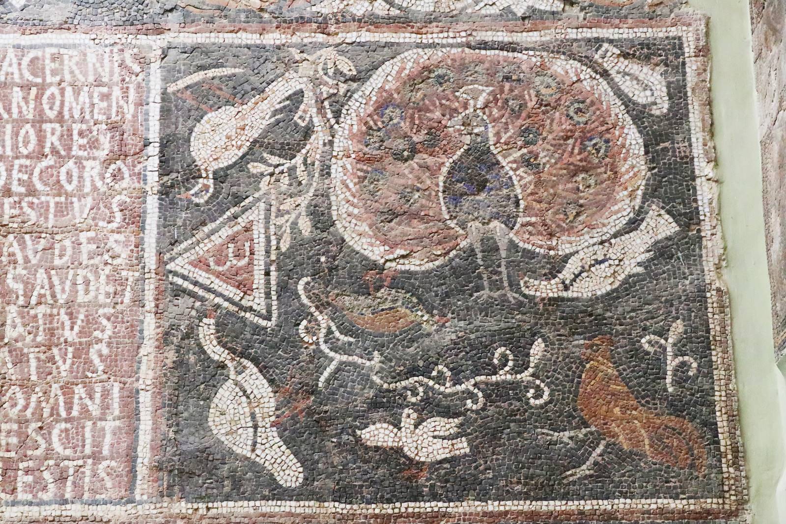 Musée de Djemila (22)