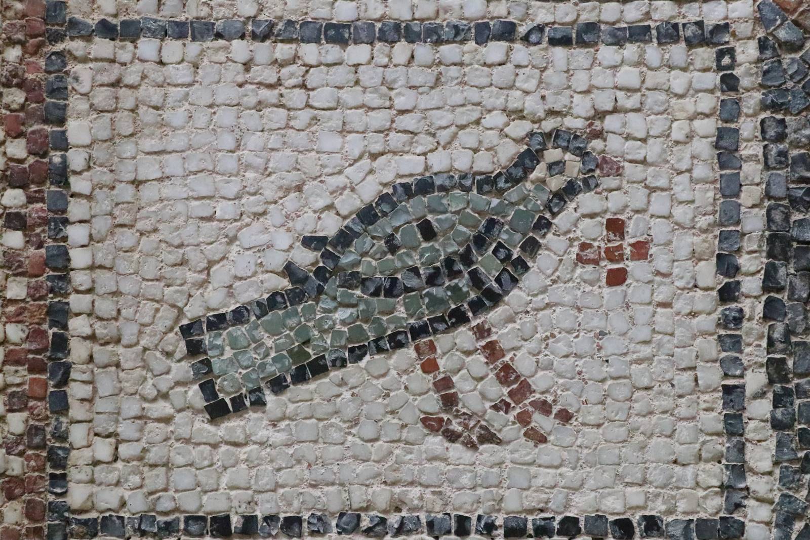 Musée de Djemila (26)