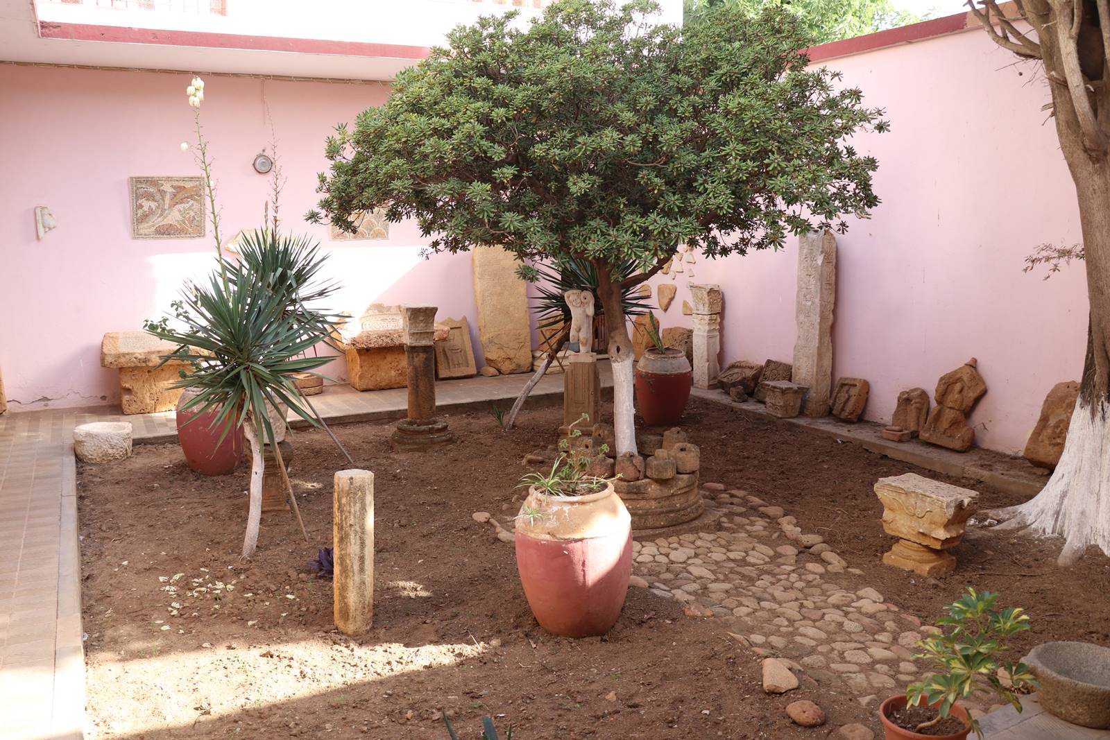 Musée de Tipasa (2)
