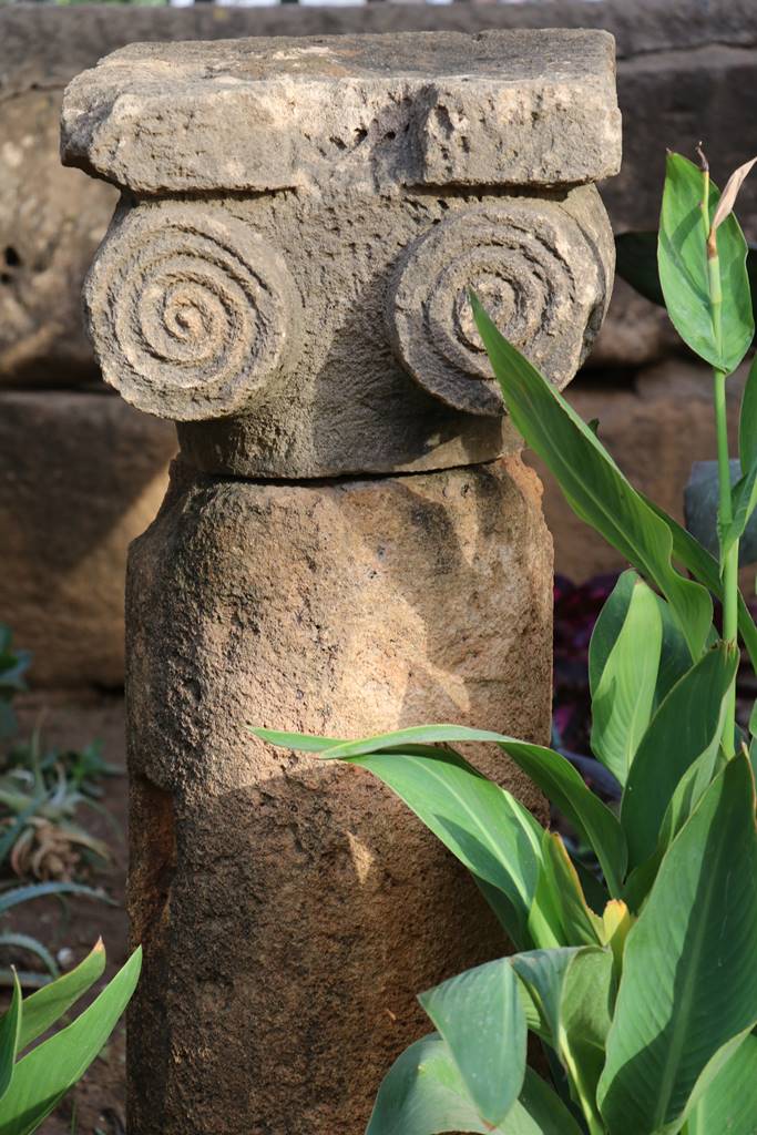 Ruines de Tipasa (1)