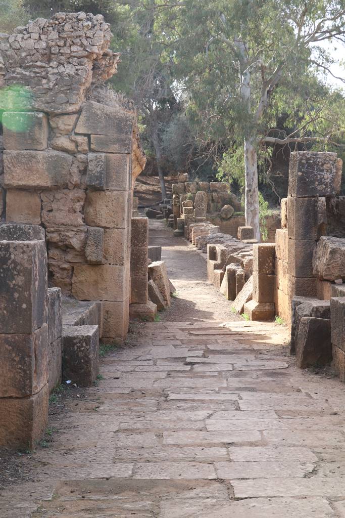 Ruines de Tipasa (20)