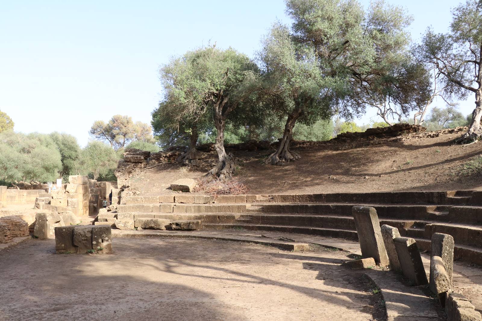 Ruines de Tipasa (22)