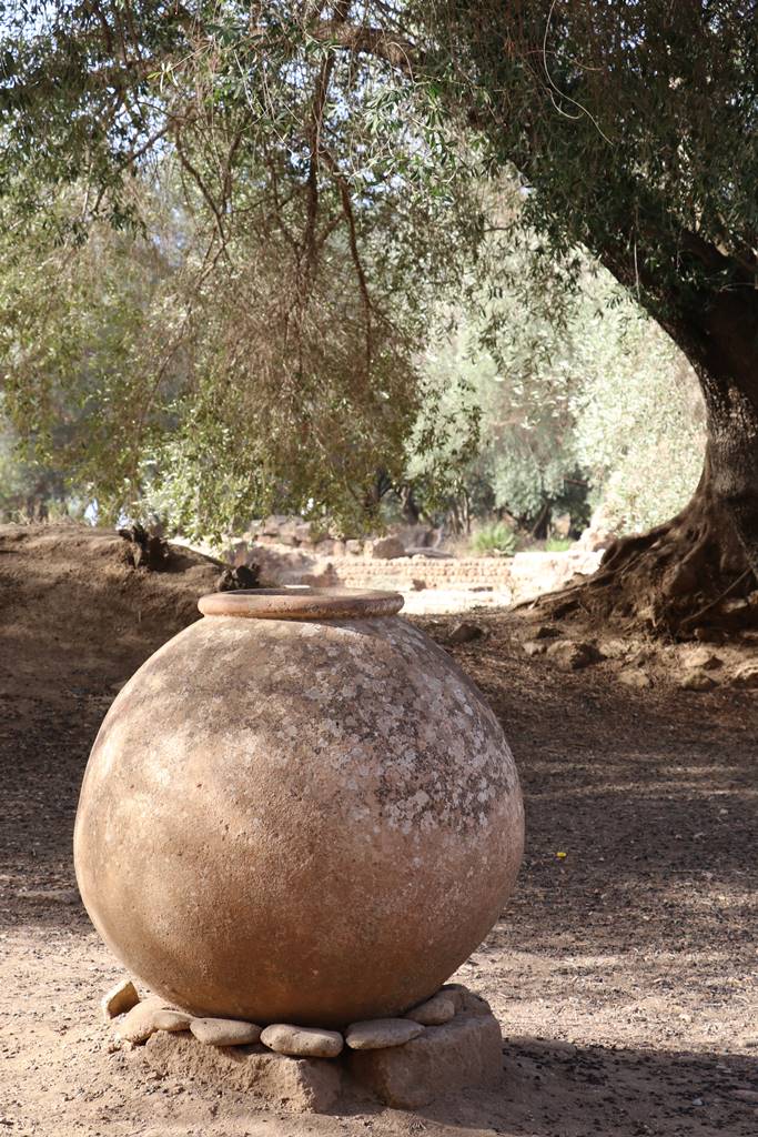 Ruines de Tipasa (3)