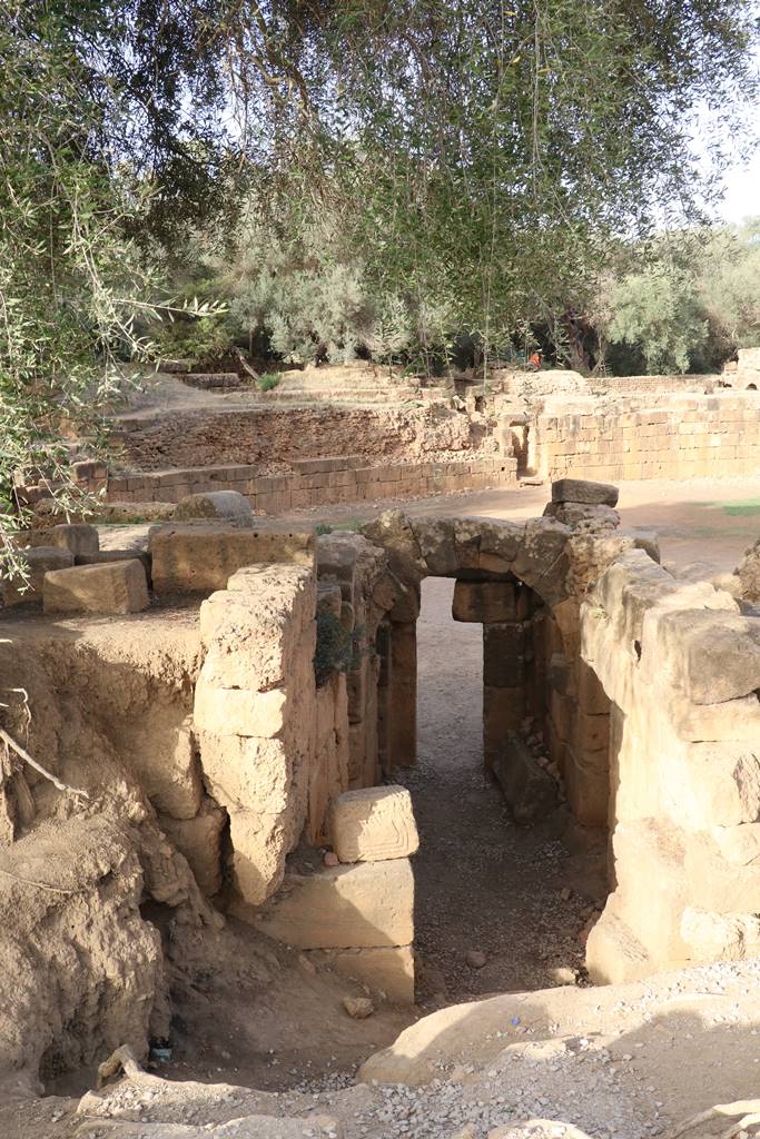 Ruines de Tipasa (41)
