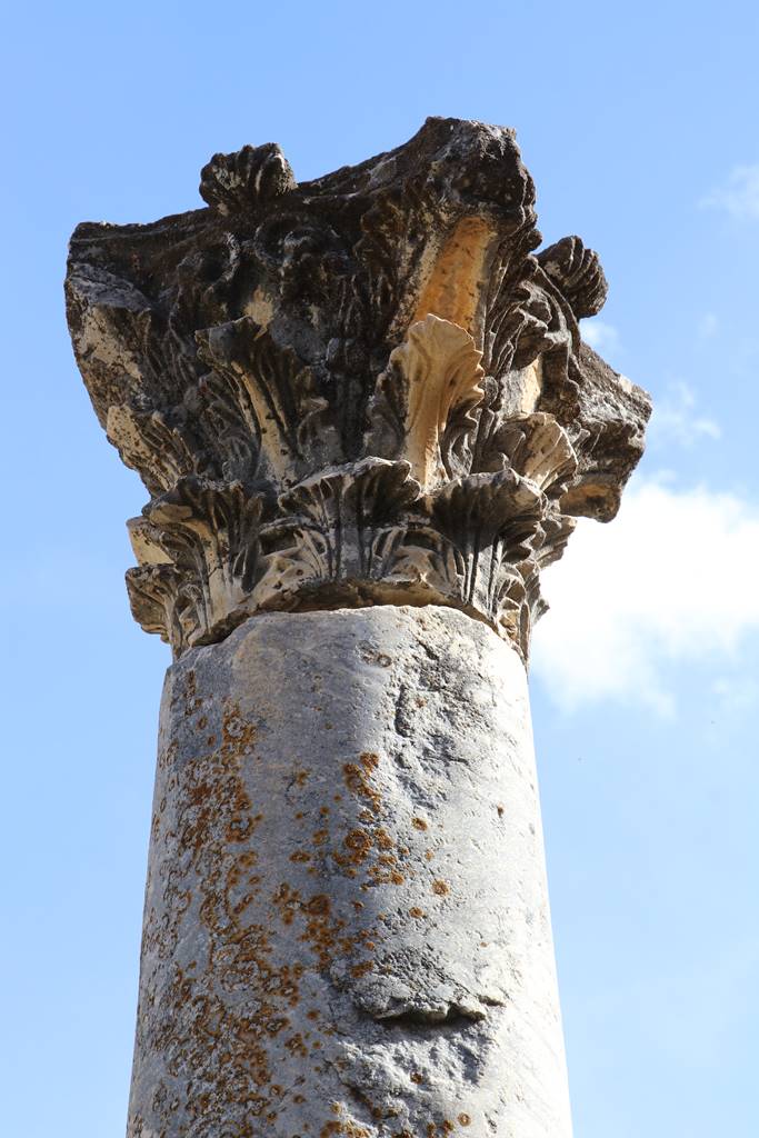 webTemple de Vénus (1)