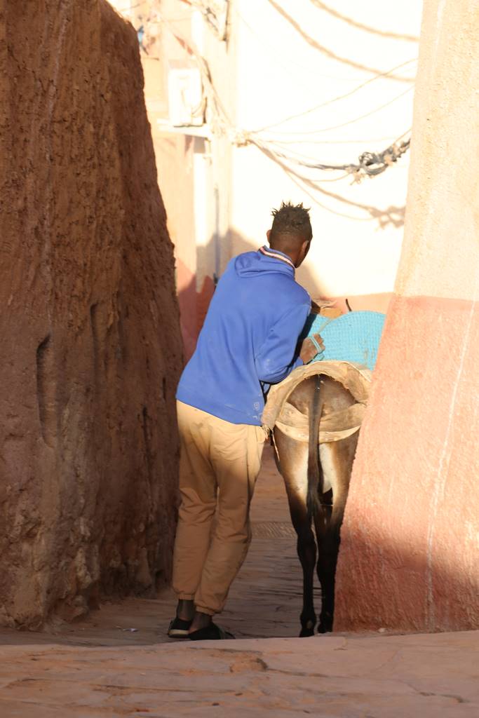 Beni Isguen Ksar (28) Beni Isguen Ksar (28)