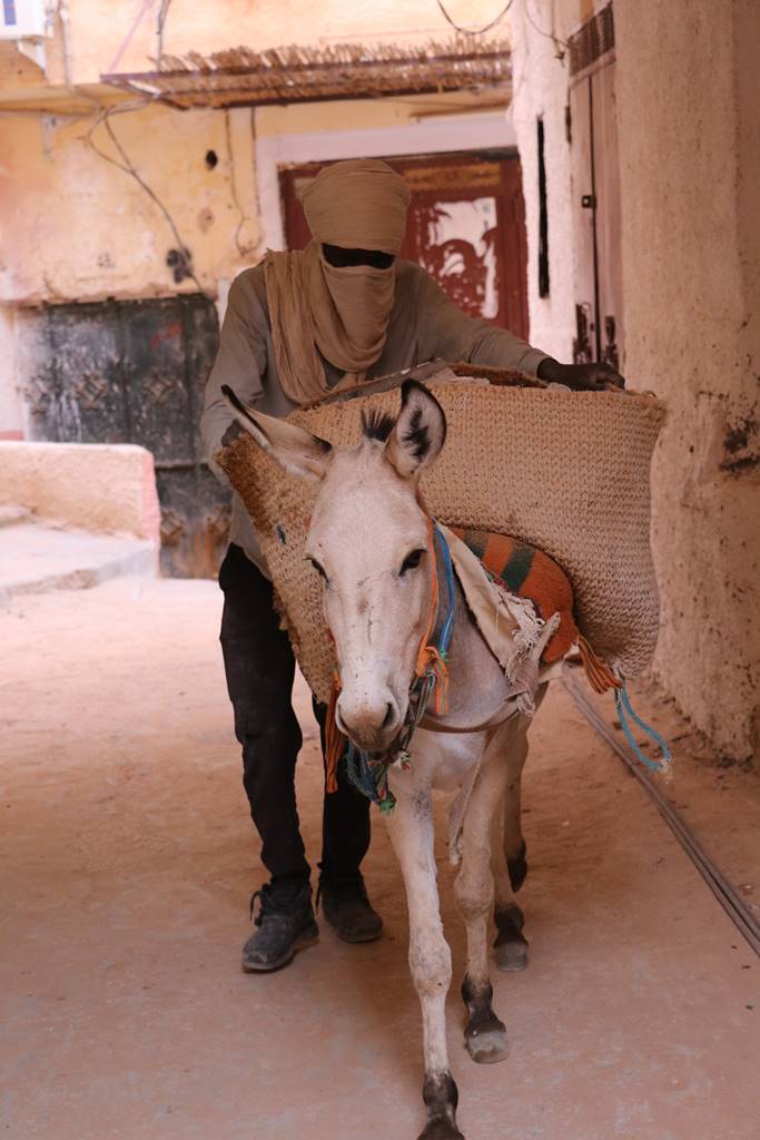 El Atteuf M'Zab (5) El Atteuf M'Zab (5)