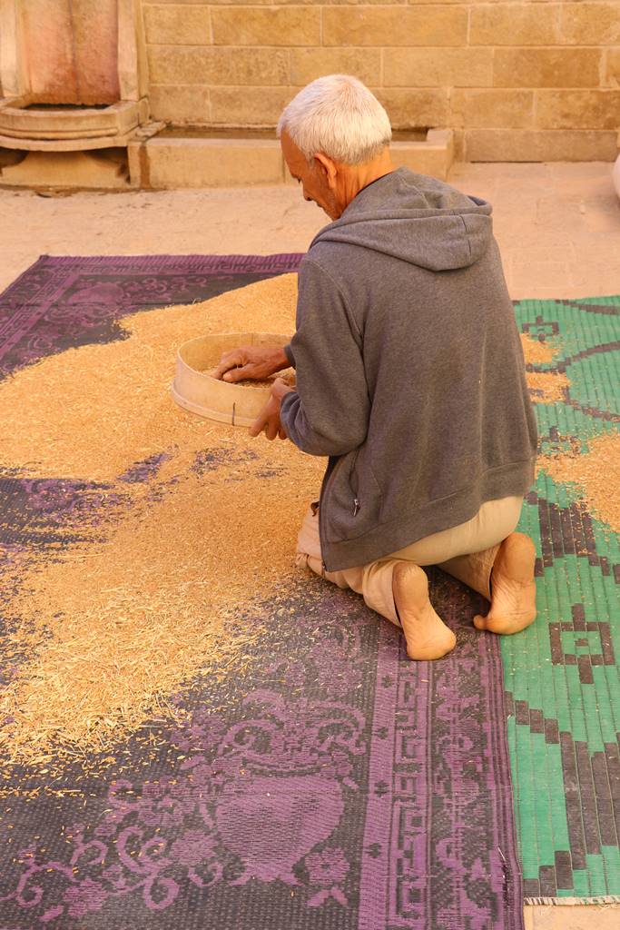 El Hamel ksar (16) El Hamel ksar (16)