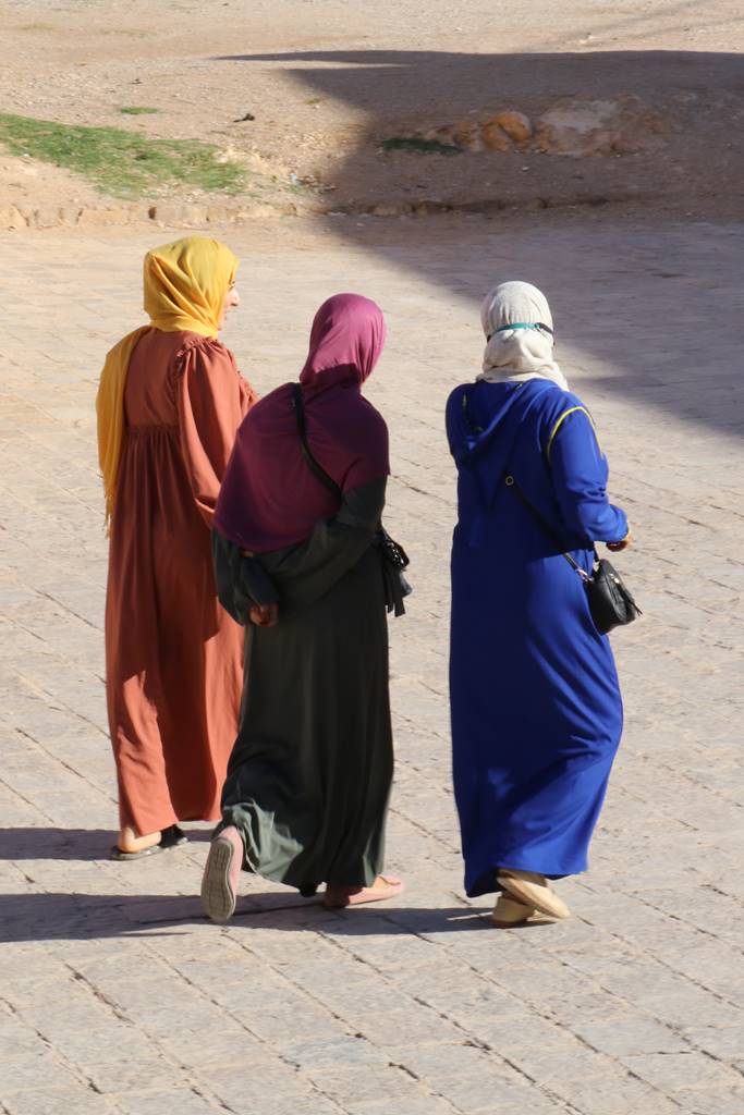 El Hamel ksar (26) El Hamel ksar (26)